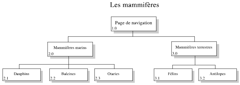 organigramme